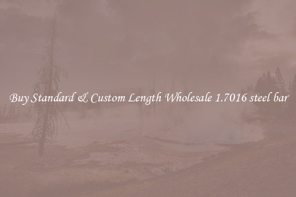 Buy Standard & Custom Length Wholesale 1.7016 steel bar