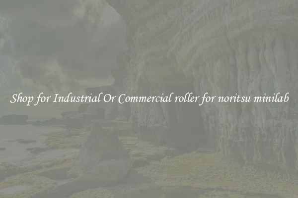 Shop for Industrial Or Commercial roller for noritsu minilab