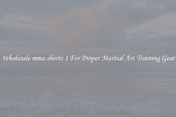Wholesale mma shorts 1 For Proper Martial Art Training Gear