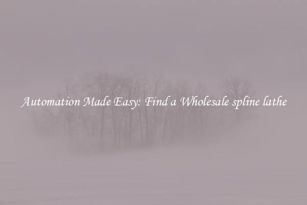  Automation Made Easy: Find a Wholesale spline lathe 