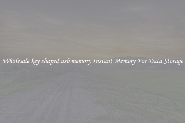 Wholesale key shaped usb memory Instant Memory For Data Storage