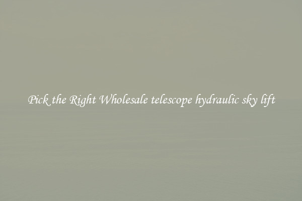 Pick the Right Wholesale telescope hydraulic sky lift