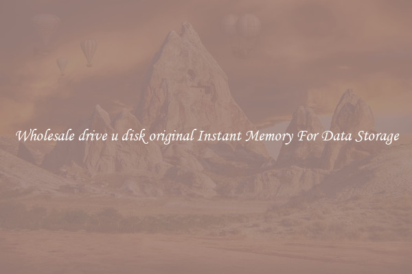 Wholesale drive u disk original Instant Memory For Data Storage