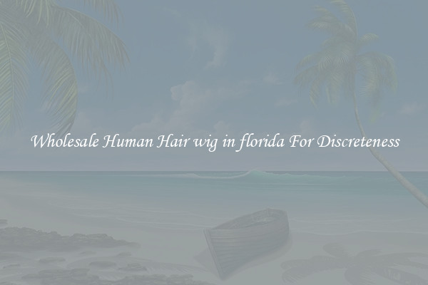 Wholesale Human Hair wig in florida For Discreteness