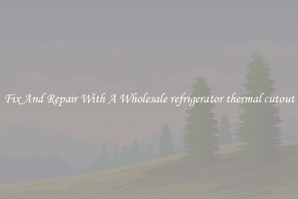 Fix And Repair With A Wholesale refrigerator thermal cutout