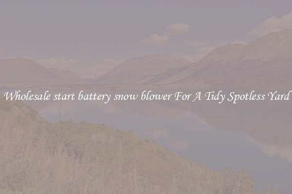 Wholesale start battery snow blower For A Tidy Spotless Yard