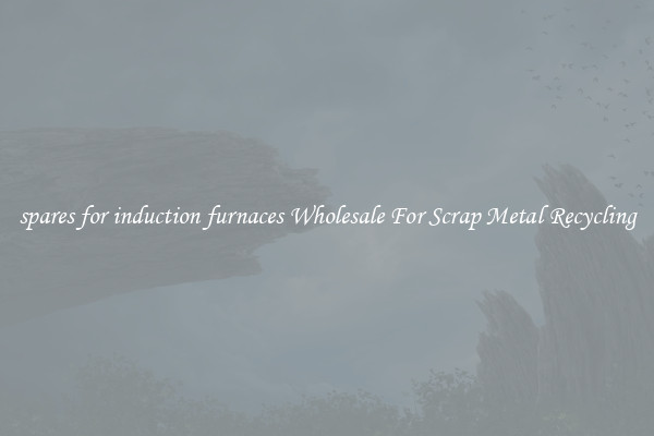 spares for induction furnaces Wholesale For Scrap Metal Recycling