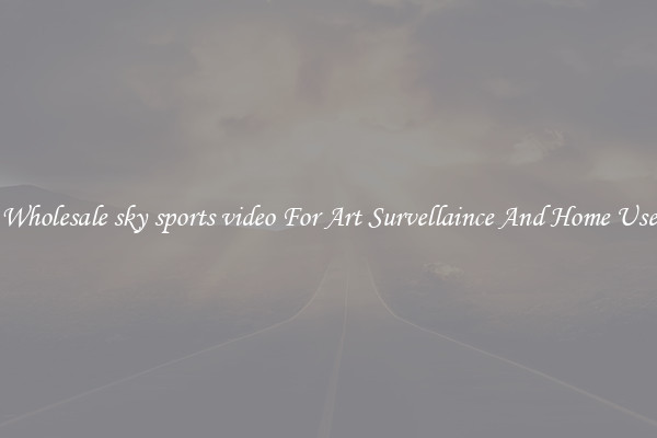 Wholesale sky sports video For Art Survellaince And Home Use