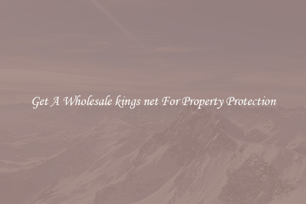 Get A Wholesale kings net For Property Protection
