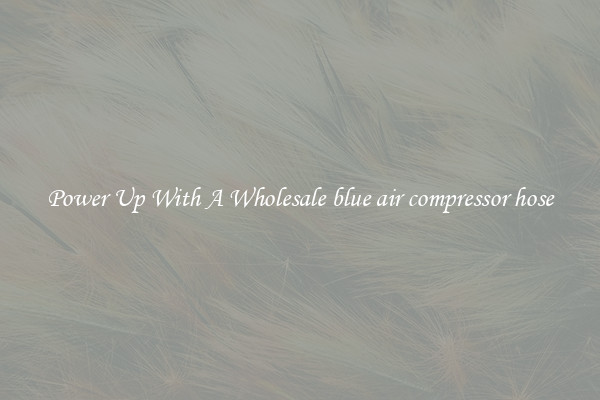 Power Up With A Wholesale blue air compressor hose