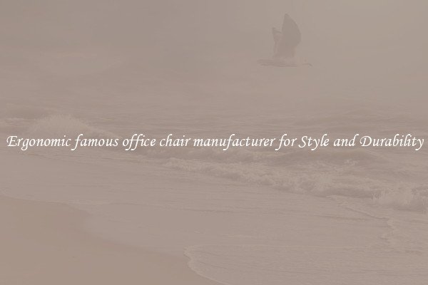 Ergonomic famous office chair manufacturer for Style and Durability