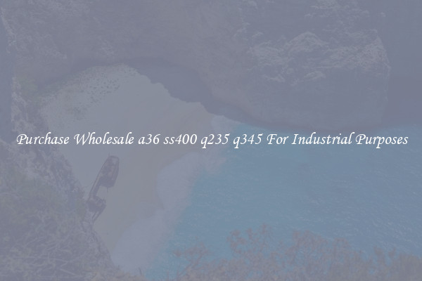 Purchase Wholesale a36 ss400 q235 q345 For Industrial Purposes