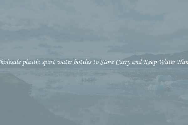 Wholesale plastic sport water bottles to Store Carry and Keep Water Handy