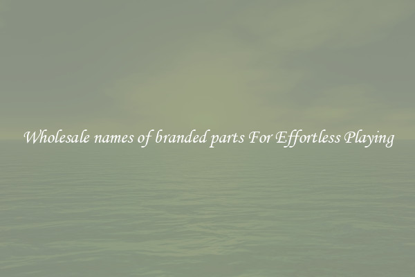 Wholesale names of branded parts For Effortless Playing