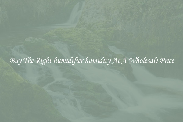 Buy The Right humidifier humidity At A Wholesale Price