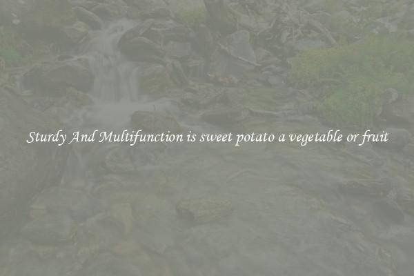 Sturdy And Multifunction is sweet potato a vegetable or fruit