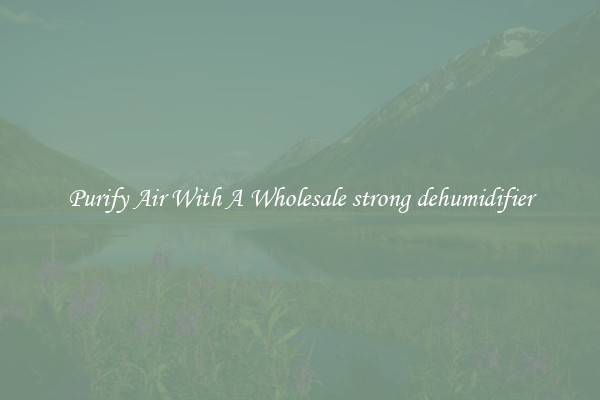 Purify Air With A Wholesale strong dehumidifier