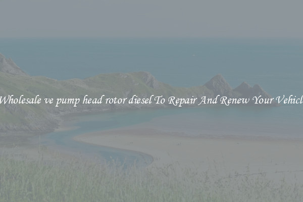 Wholesale ve pump head rotor diesel To Repair And Renew Your Vehicle