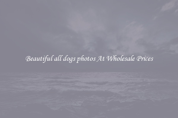 Beautiful all dogs photos At Wholesale Prices