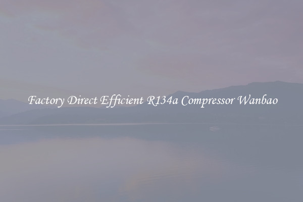 Factory Direct Efficient R134a Compressor Wanbao