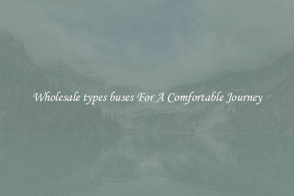 Wholesale types buses For A Comfortable Journey
