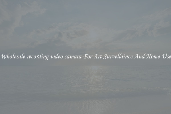 Wholesale recording video camara For Art Survellaince And Home Use