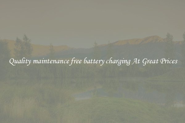 Quality maintenance free battery charging At Great Prices