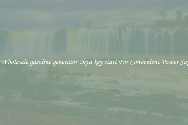 Get Wholesale gasoline generator 2kva key start For Convenient Power Supply