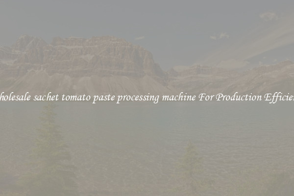 Wholesale sachet tomato paste processing machine For Production Efficiency