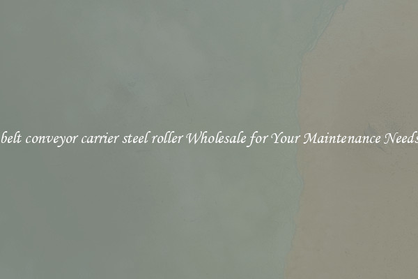 belt conveyor carrier steel roller Wholesale for Your Maintenance Needs