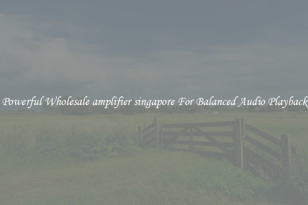 Powerful Wholesale amplifier singapore For Balanced Audio Playback