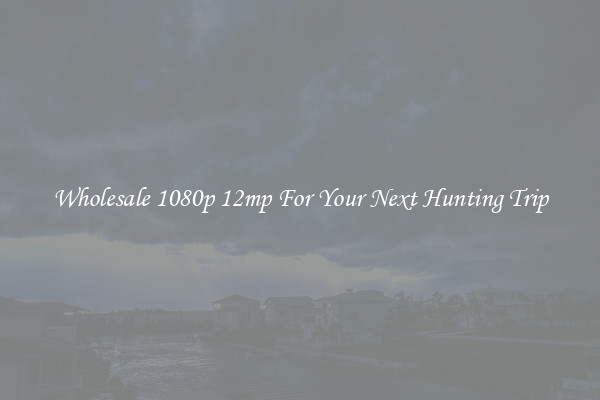 Wholesale 1080p 12mp For Your Next Hunting Trip