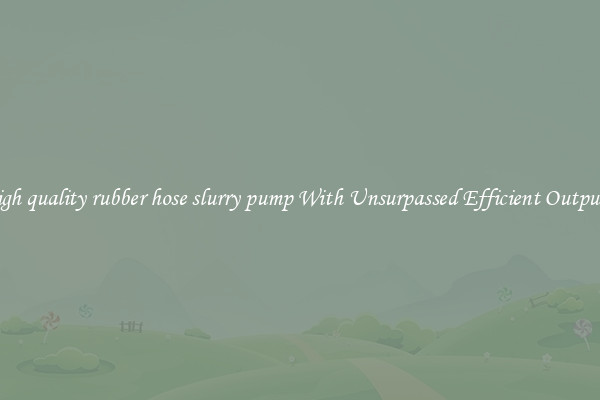 high quality rubber hose slurry pump With Unsurpassed Efficient Outputs