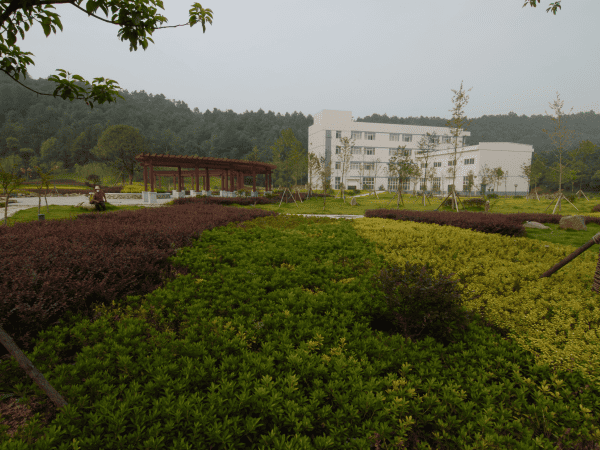 z6.com(中国区)官方网站