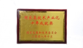 国度高技术产业化十年成就奖