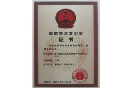 技术发现一等奖