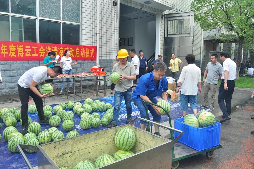 z6.com(中国区)官方网站