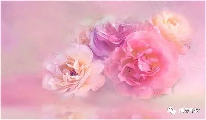 z6.com(中国区)官方网站